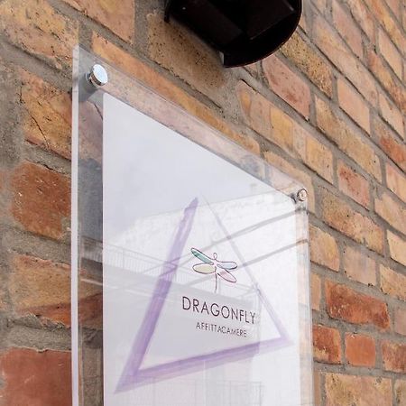 Dragonfly Affittacamere Motta Montecorvino Exterior foto